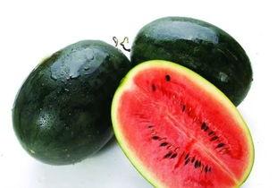 51黑瓜吃料网入口照片