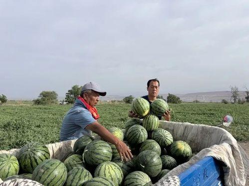 吃瓜黑料国产一区